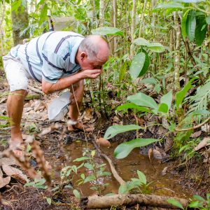 Nascentes: onde brota a vida - Aliança Energia