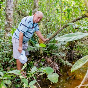 Nascentes: onde brota a vida - Aliança Energia