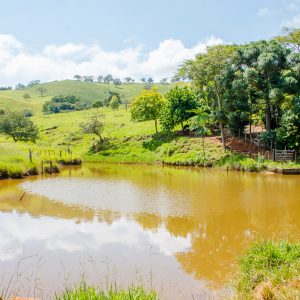 Nascentes: onde brota a vida - Aliança Energia