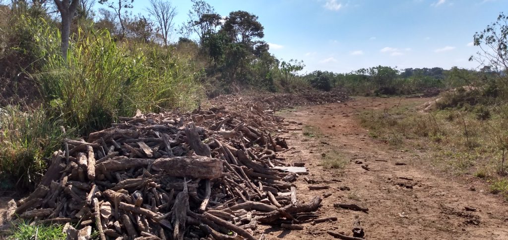 Ações preventivas ambientais protegem áreas verdes próximas à UHE Funil - Aliança Energia