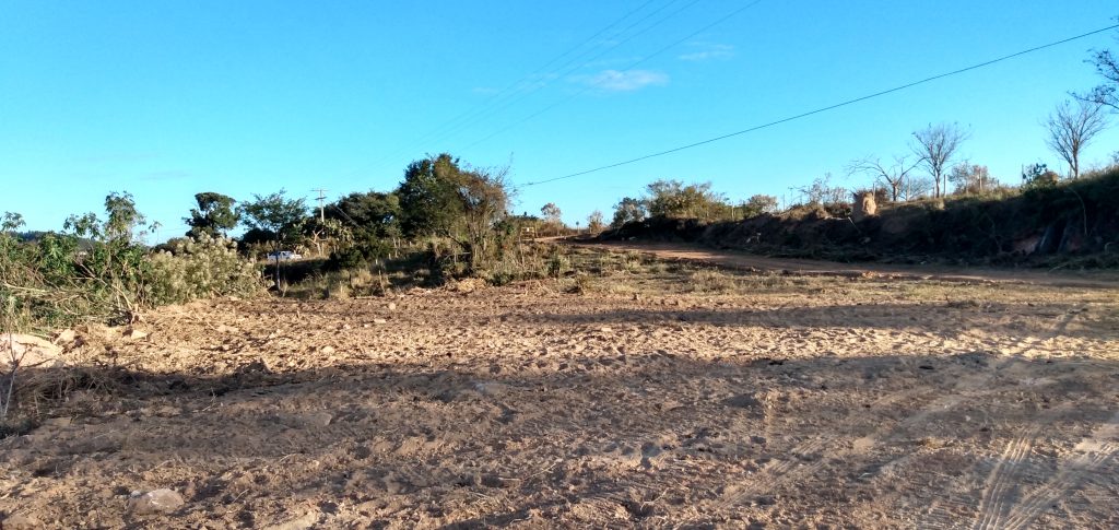 Ações preventivas ambientais protegem áreas verdes próximas à UHE Funil - Aliança Energia