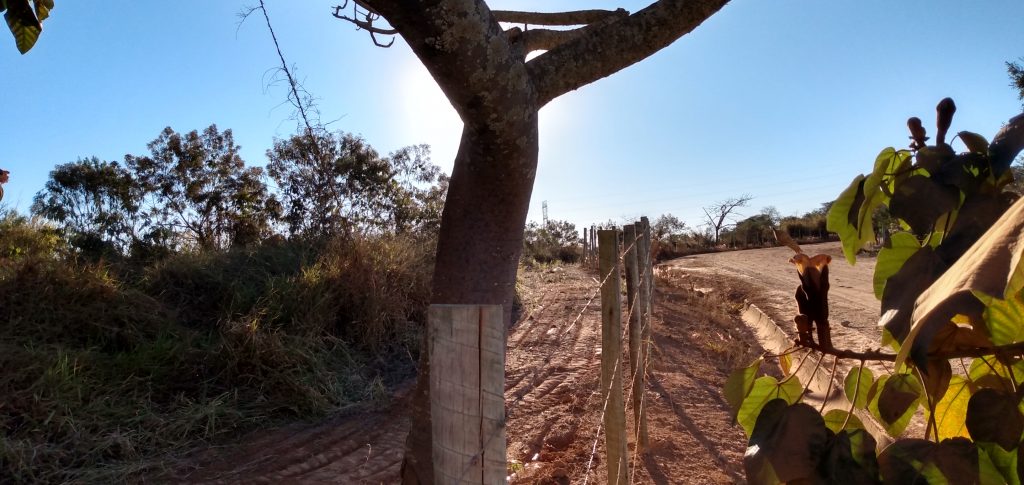 Ações preventivas ambientais protegem áreas verdes próximas à UHE Funil - Aliança Energia