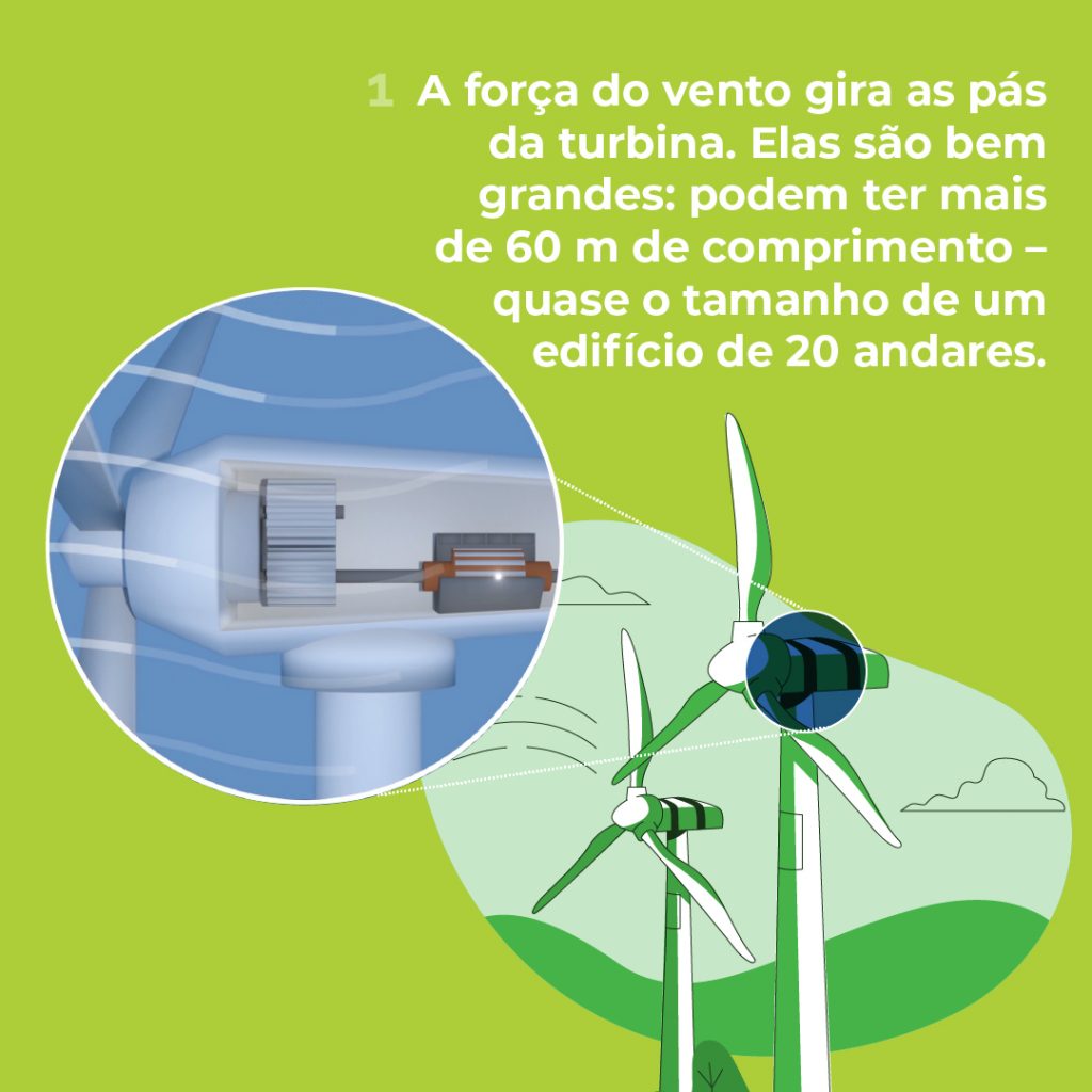 Dia Mundial do Vento - Aliança Energia