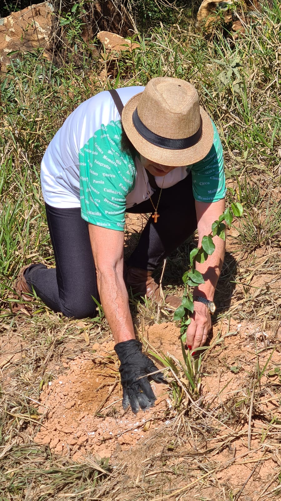 Aliança participa de ação ambiental em comemoração ao Dia da Árvore - Aliança Energia