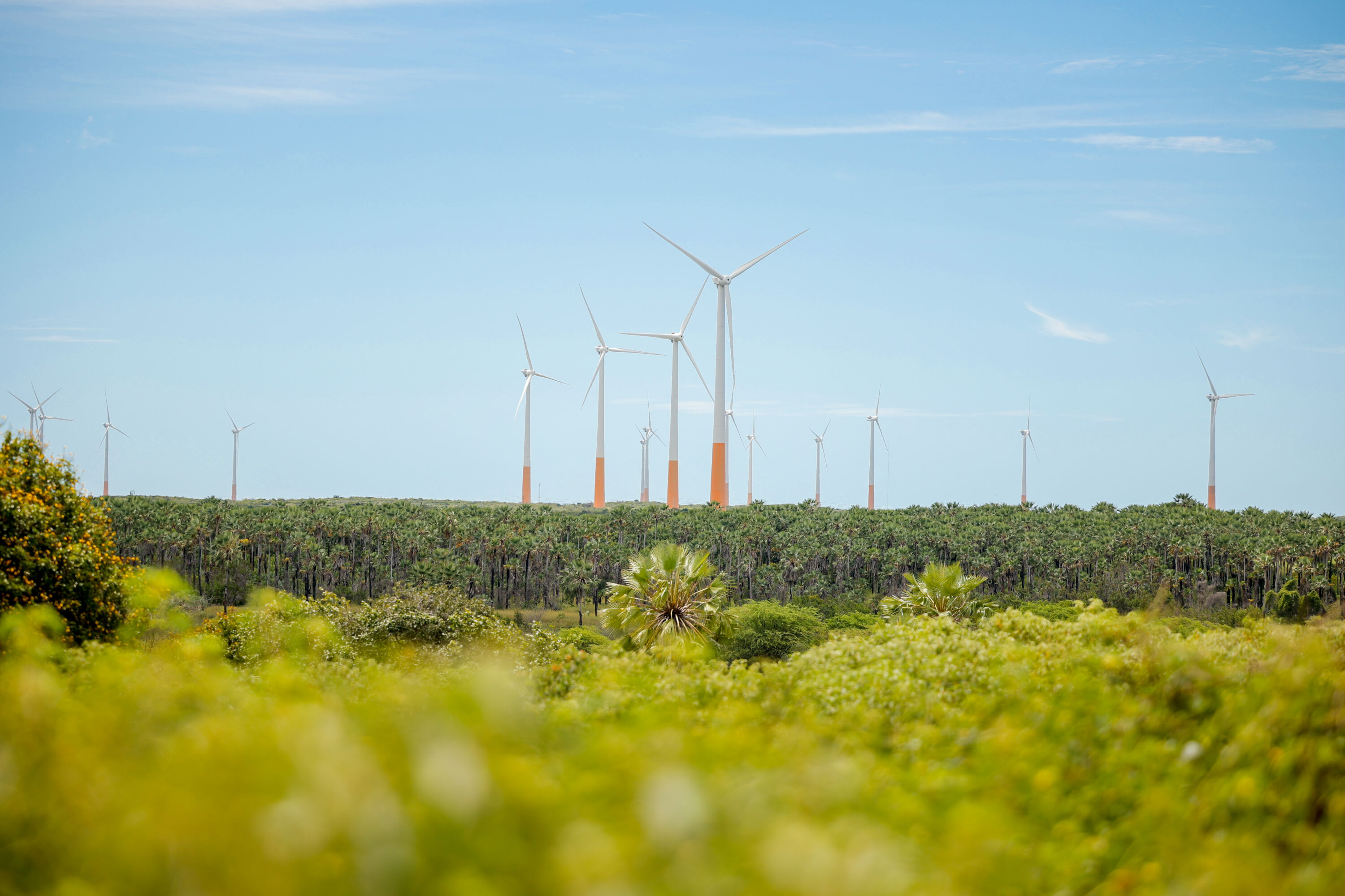 Aliança Energia celebra a inauguração de seu Parque Eólico no Ceará - Aliança Energia