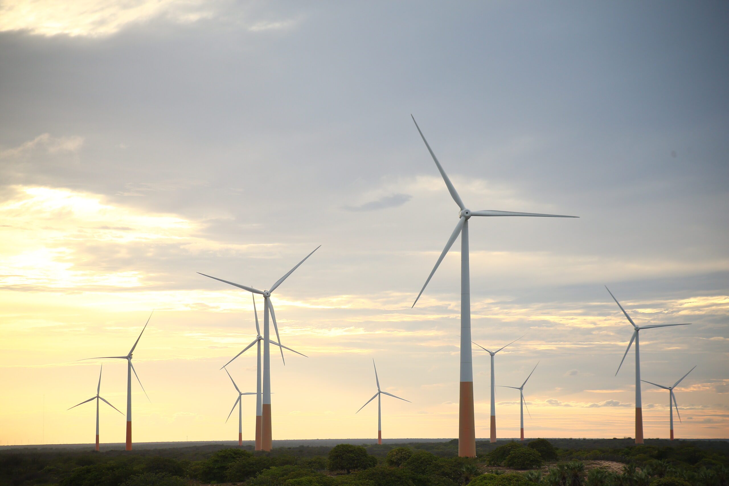 Celebrando anos de sucesso nas usinas Aliança - Aliança Energia