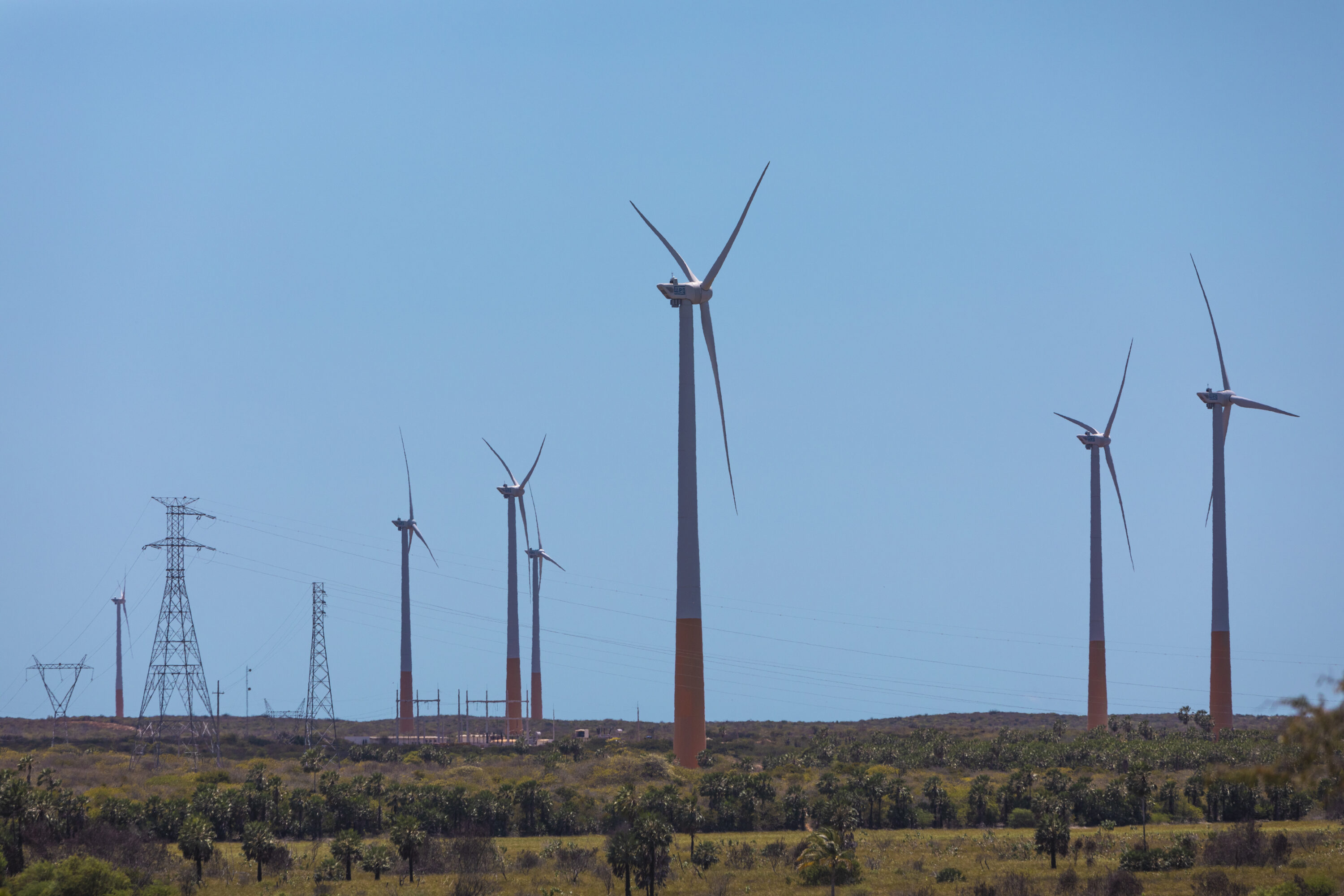 Celebrando anos de sucesso nas usinas Aliança - Aliança Energia