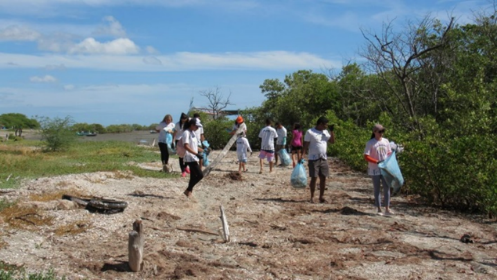 Compromissos Sustentáveis da Aliança Energia no Dia Mundial da Educação Ambiental - Aliança Energia