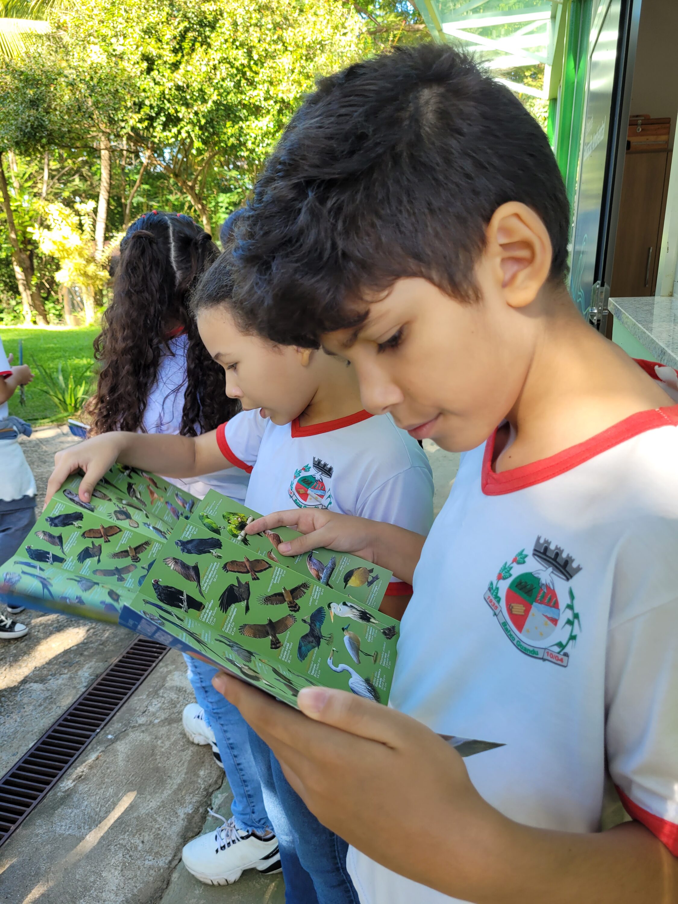 Aliança lança Guia de Aves no Parque Botânico em Aimorés - Aliança Energia