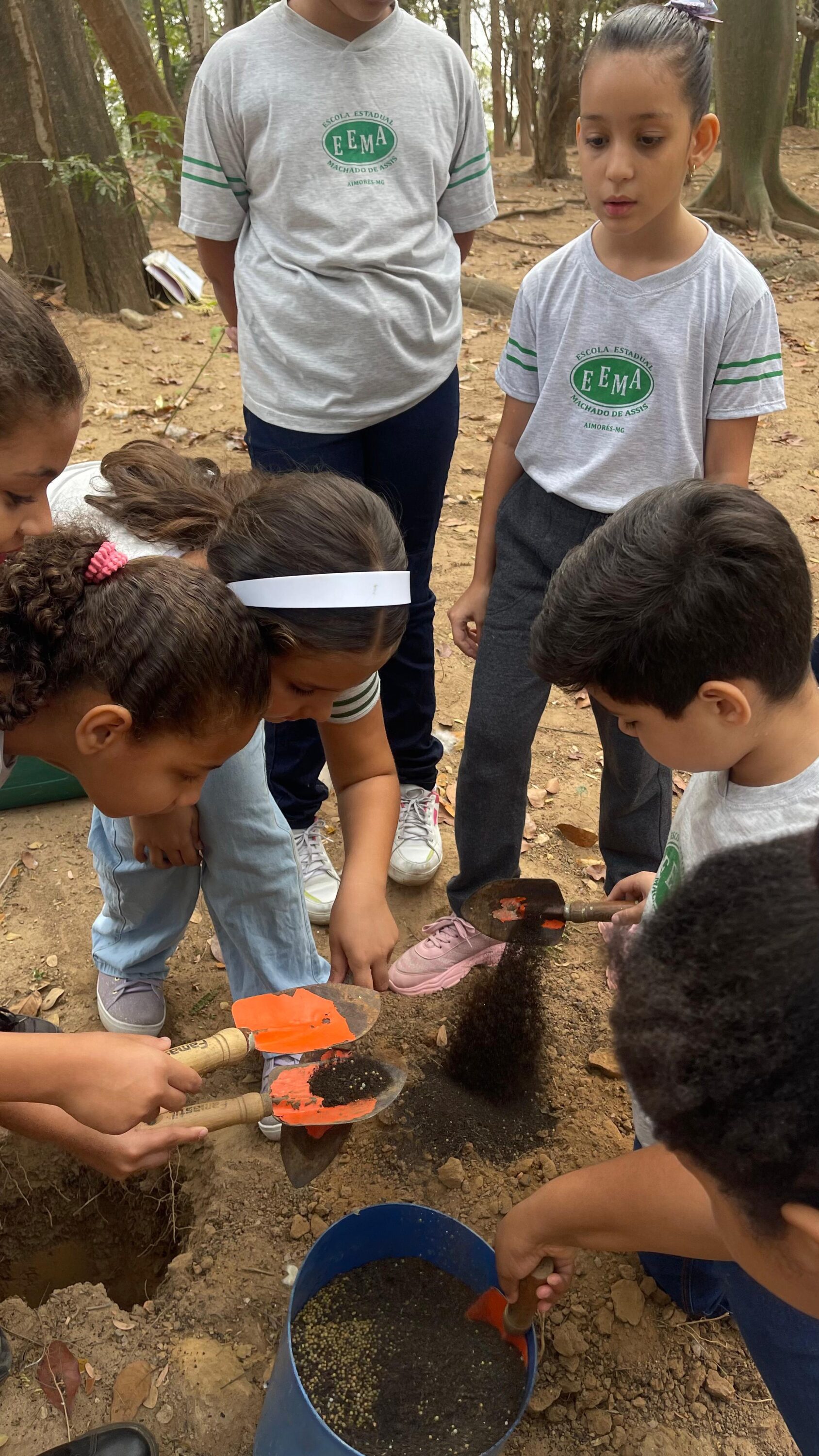 Aliança realiza ações de conscientização e plantio em celebração ao Dia da Árvore - Aliança Energia