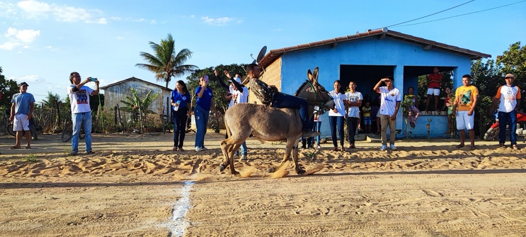 Festival de Cultura Popular: Um Encontro com as Tradições e Raízes Locais - Aliança Energia