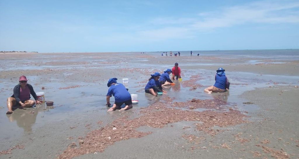 Comunidades costeiras de Icapuí fortalecem a cultura da pesca em evento com apoio da Aliança Energia - Aliança Energia