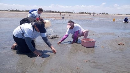 Comunidades costeiras de Icapuí fortalecem a cultura da pesca em evento com apoio da Aliança Energia - Aliança Energia