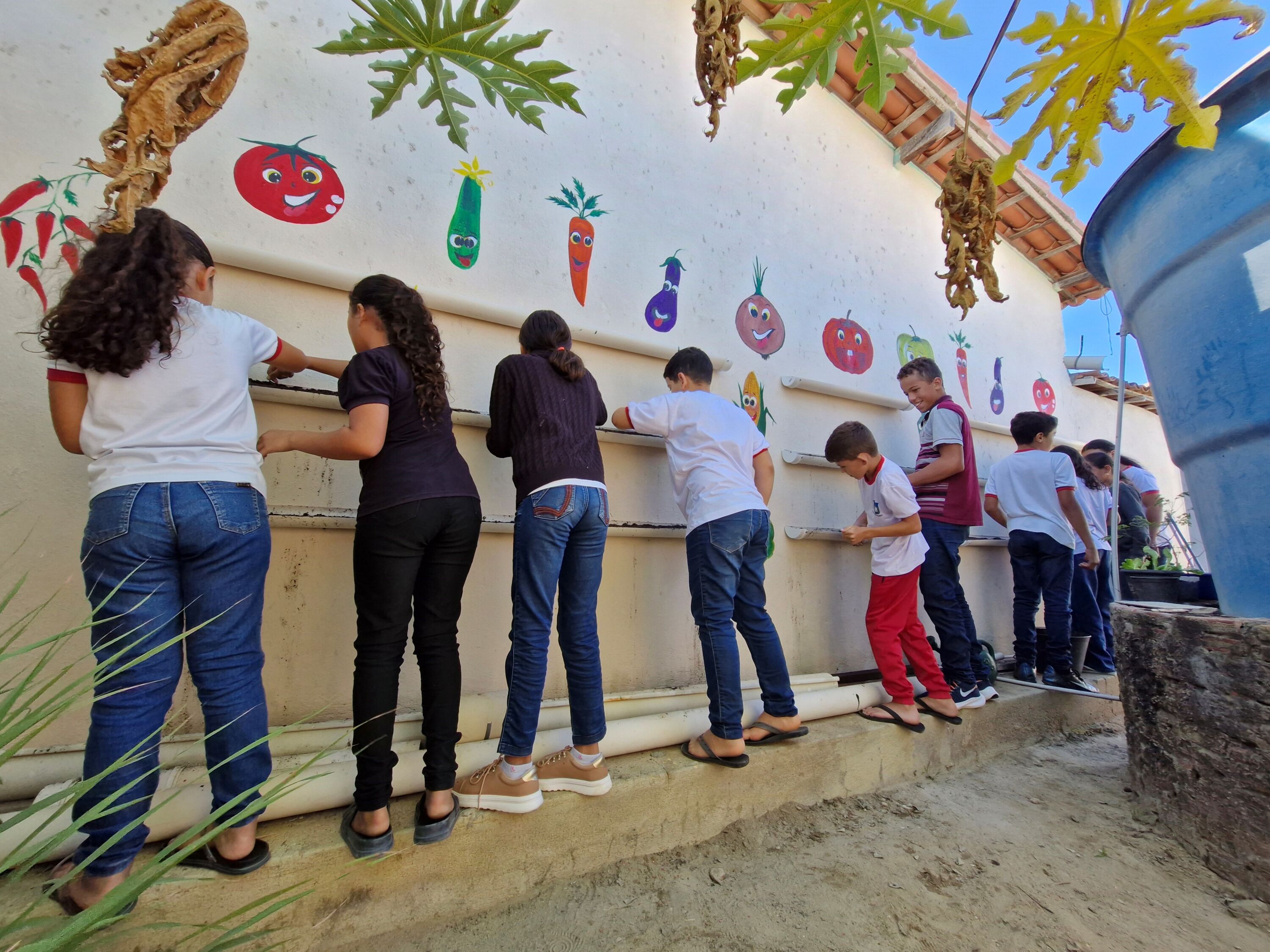 Aliança Energia leva hortas sustentáveis para escolas da Serra de Santana - Aliança Energia Aliança Energia leva hortas sustentáveis para escolas da Serra de Santana - Aliança Energia