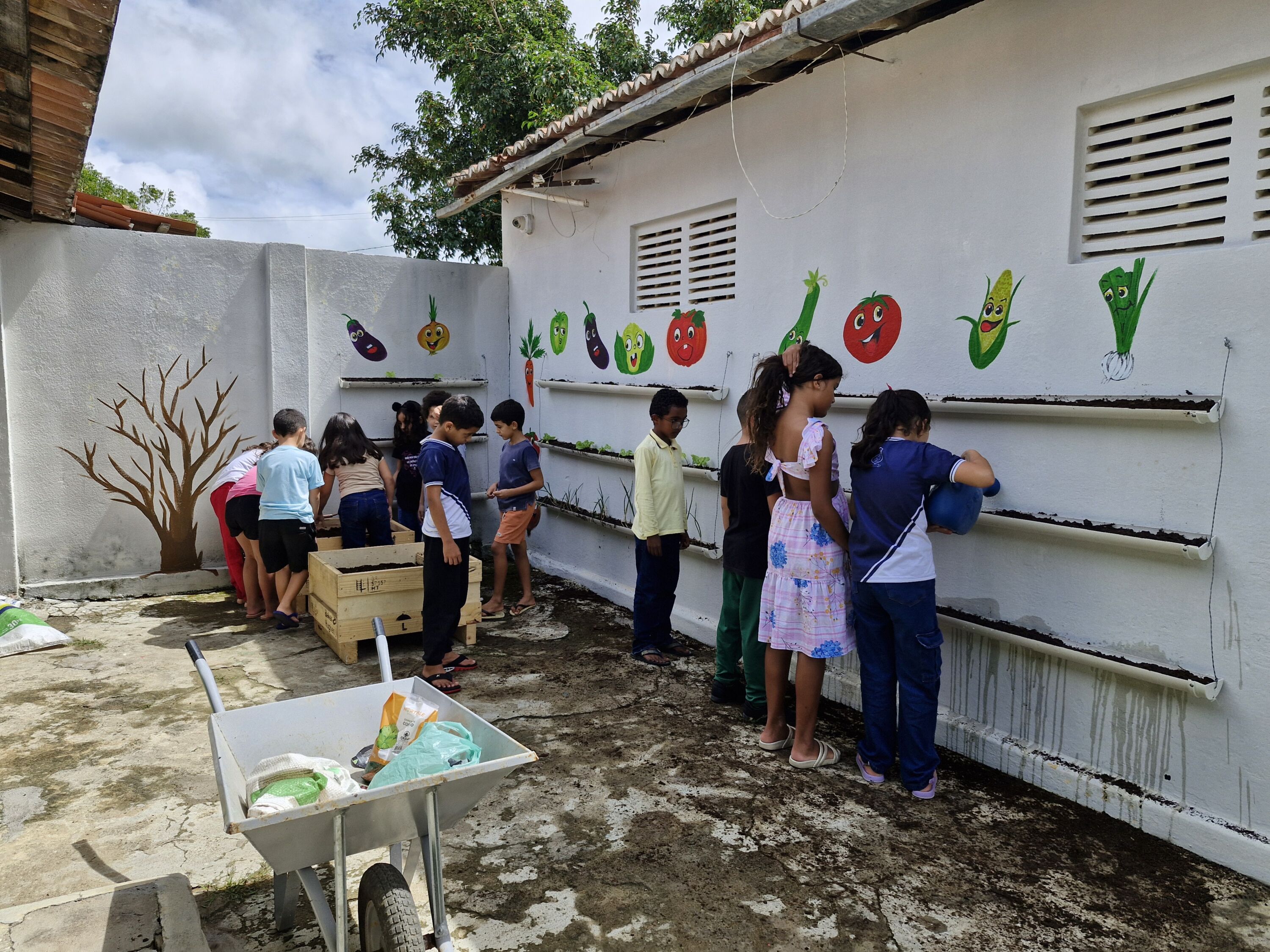 Complexo Eólico Acauã completa um ano de inauguração com destaque para ações sociais no Rio Grande do Norte - Aliança Energia Complexo Eólico Acauã completa um ano de inauguração com destaque para ações sociais no Rio Grande do Norte - Aliança Energia