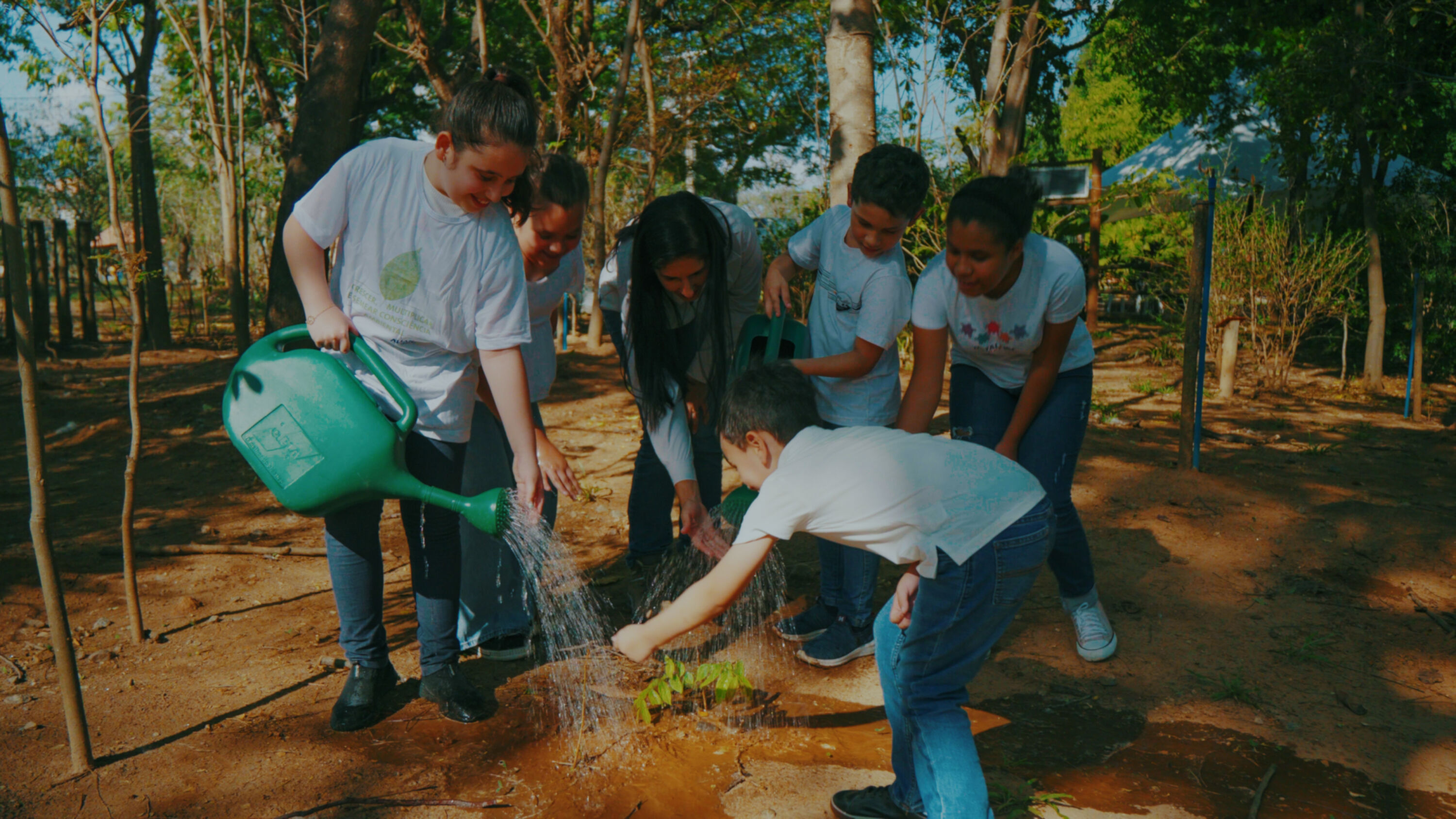 Parque Botânico Aliança Energia celebra 16 anos de educação ambiental em Aimorés - Aliança Energia Parque Botânico Aliança Energia celebra 16 anos de educação ambiental em Aimorés - Aliança Energia