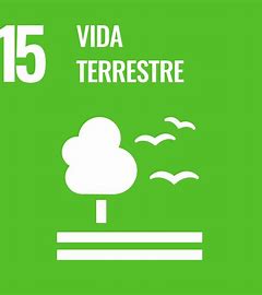 Parque Botânico Aliança Energia celebra 16 anos de educação ambiental em Aimorés - Aliança Energia Parque Botânico Aliança Energia celebra 16 anos de educação ambiental em Aimorés - Aliança Energia