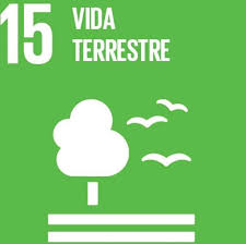 No Dia Mundial da Conservação do Solo, Aliança leva educação ambiental com Minecraft e Kahoot para escolas do RN - Aliança Energia No Dia Mundial da Conservação do Solo, Aliança leva educação ambiental com Minecraft e Kahoot para escolas do RN - Aliança Energia