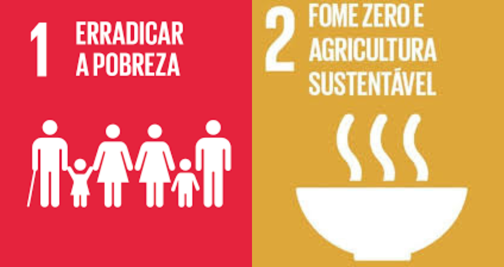 Projeto de avicultura da Associação de Gravier impulsiona a economia da comunidade - Aliança Energia Projeto de avicultura da Associação de Gravier impulsiona a economia da comunidade - Aliança Energia