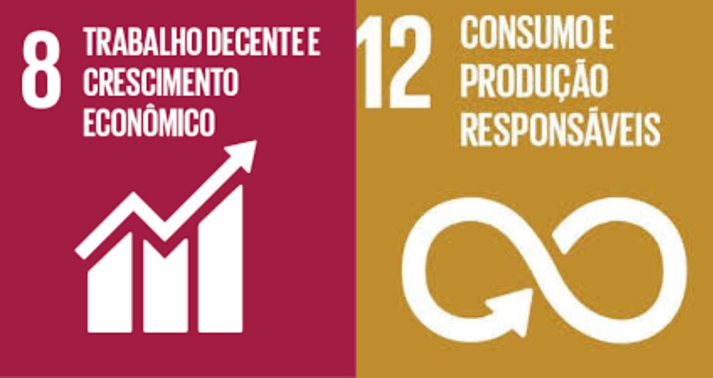 Projeto de avicultura da Associação de Gravier impulsiona a economia da comunidade - Aliança Energia Projeto de avicultura da Associação de Gravier impulsiona a economia da comunidade - Aliança Energia