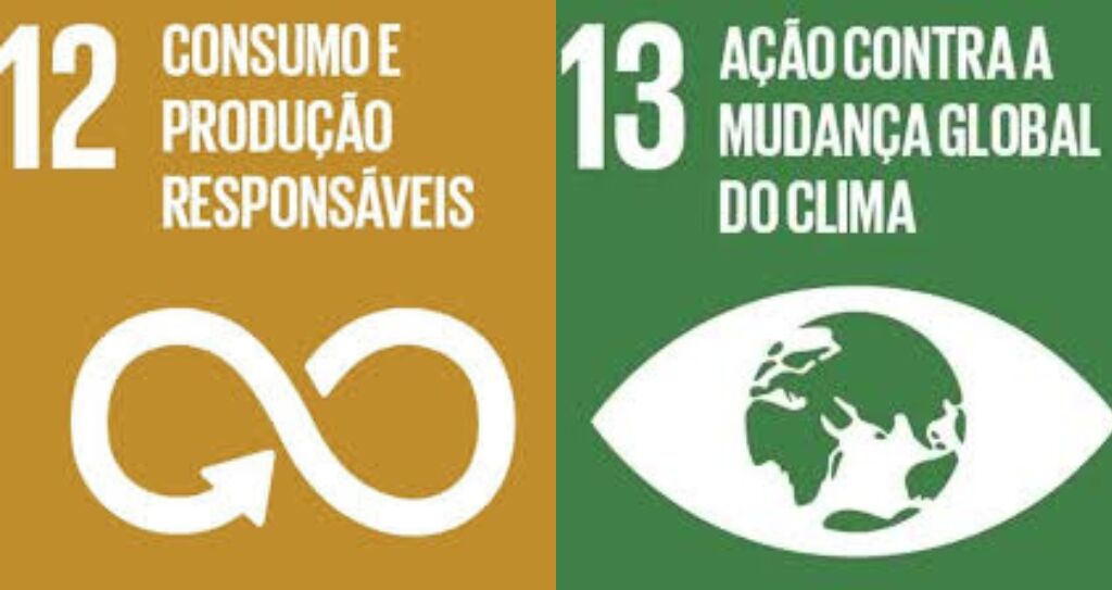 Aliança promove gincana em escola de São Vicente e incentiva a consciência ambiental - Aliança Energia Aliança promove gincana em escola de São Vicente e incentiva a consciência ambiental - Aliança Energia