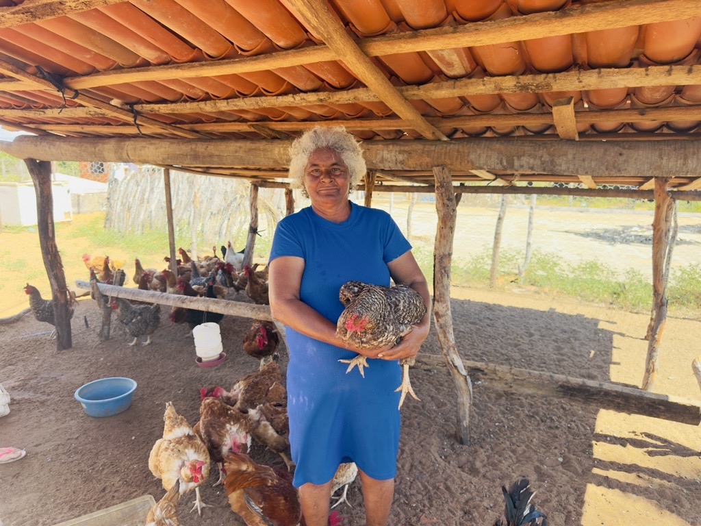 Projeto de avicultura da Associação de Gravier impulsiona a economia da comunidade - Aliança Energia Projeto de avicultura da Associação de Gravier impulsiona a economia da comunidade - Aliança Energia