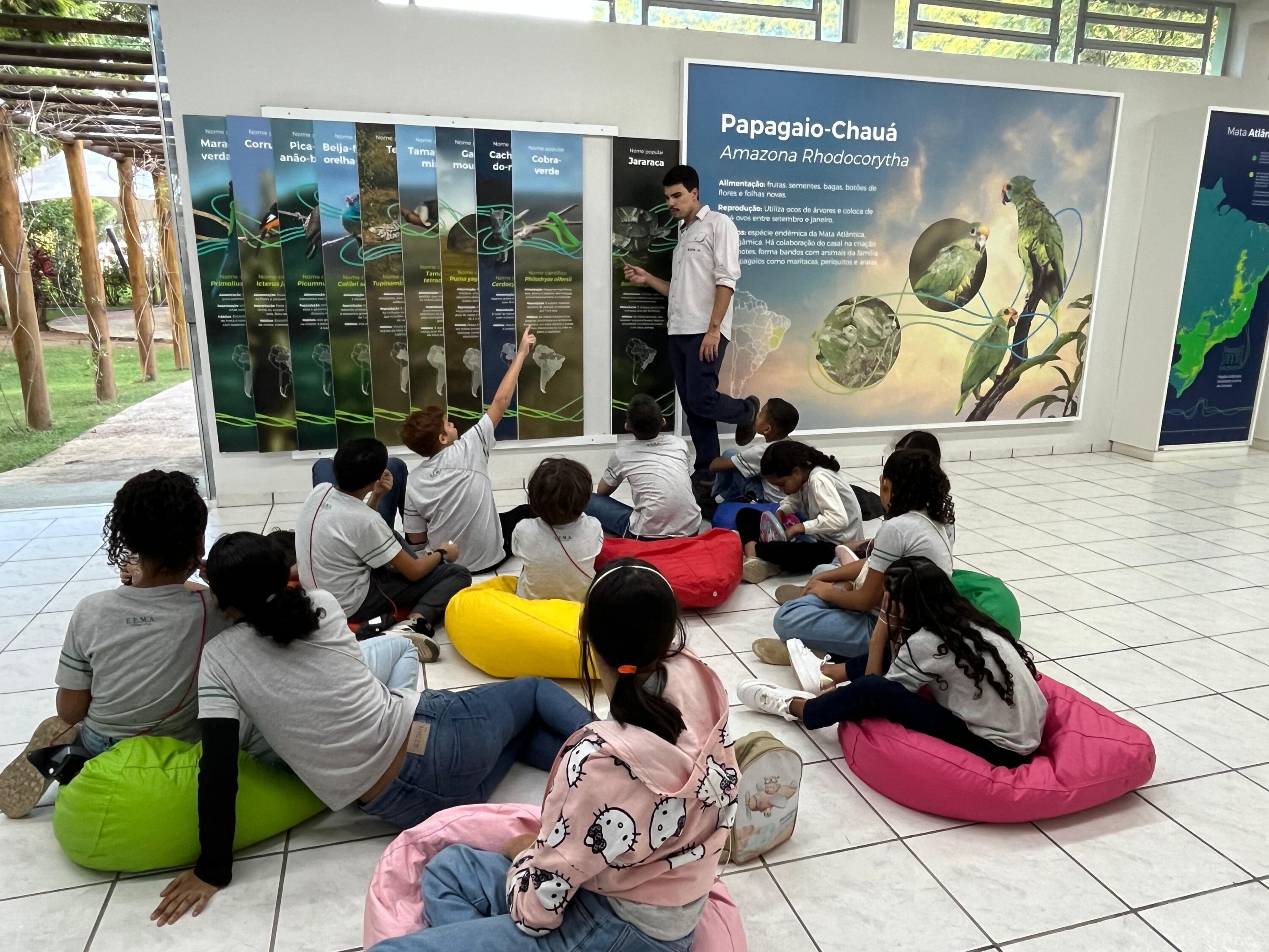 Aliança celebra a Semana do Meio Ambiente com ações de conscientização - Aliança Energia Aliança celebra a Semana do Meio Ambiente com ações de conscientização - Aliança Energia