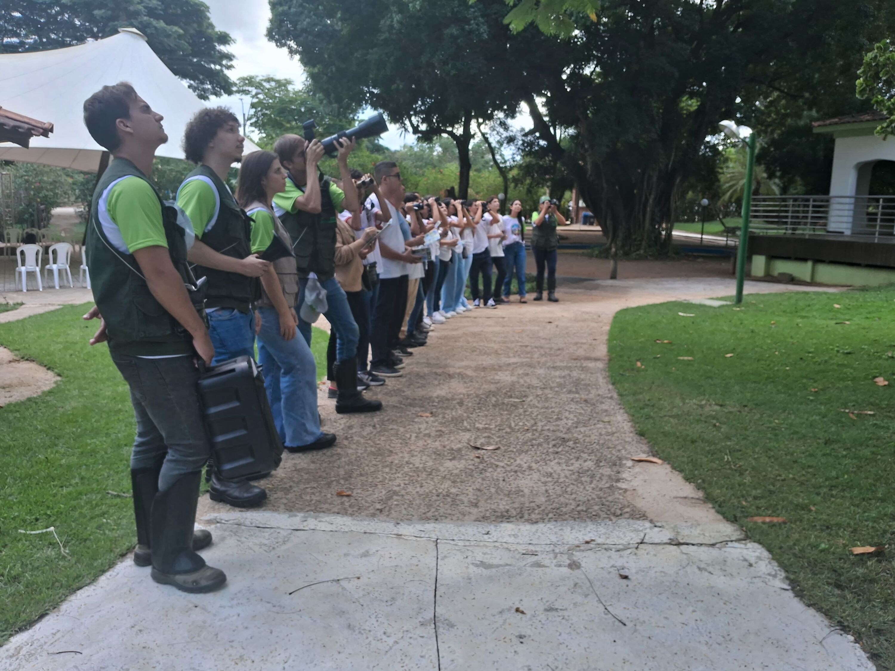 Aliança celebra a Semana do Meio Ambiente com ações de conscientização - Aliança Energia Aliança celebra a Semana do Meio Ambiente com ações de conscientização - Aliança Energia
