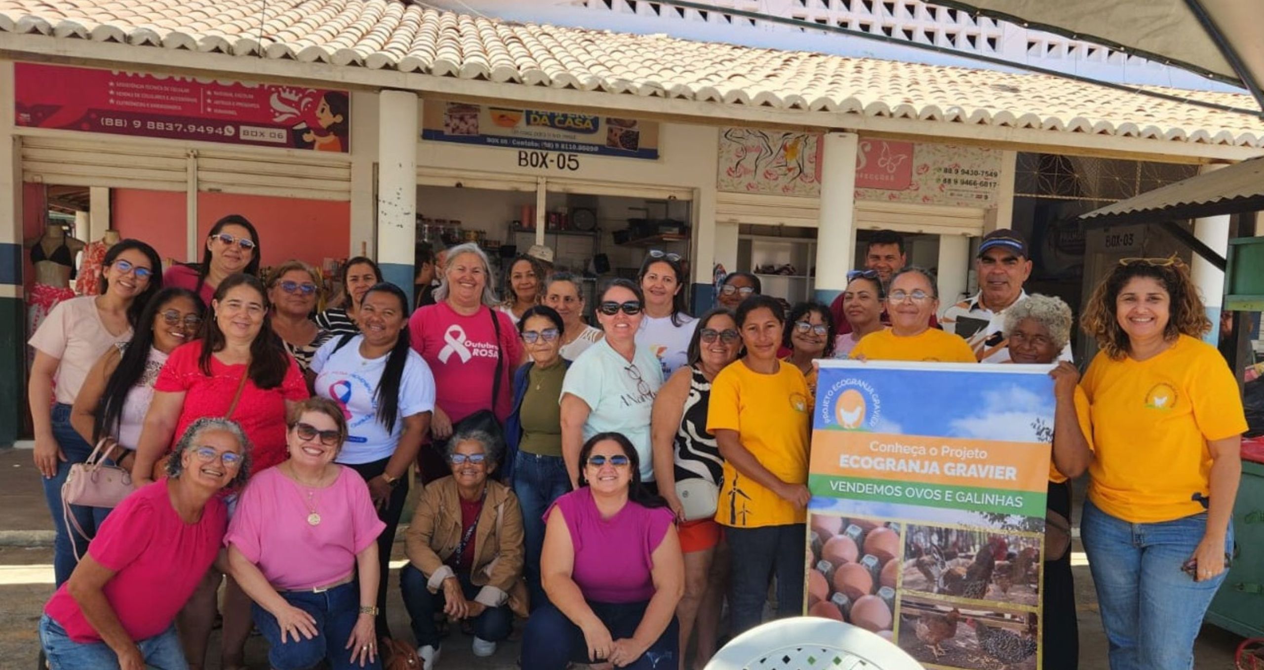 Capa Nova Intranet (1)