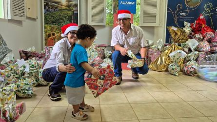 Capa Natal Árvore Solidária