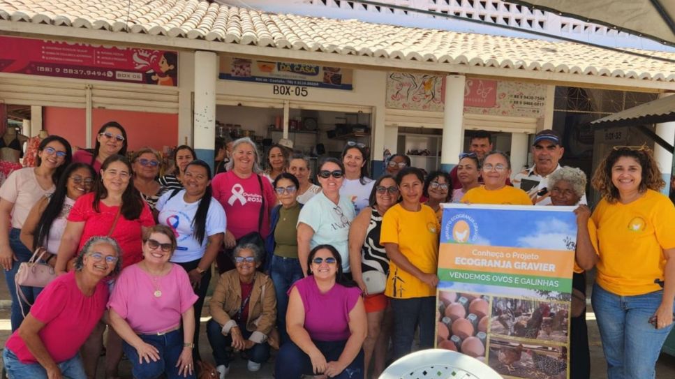 Capa Nova Intranet (1)