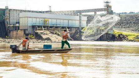 Foto monitoramento de peixes