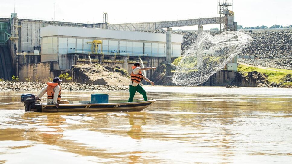 Foto monitoramento de peixes