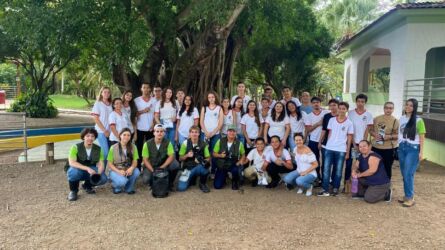Capa Dia Mundial Meio Ambiente